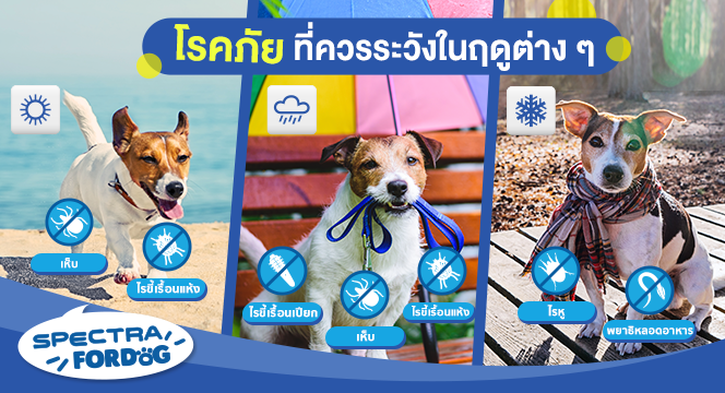 โรคภัยที่ควรระวังในฤดูต่าง ๆ